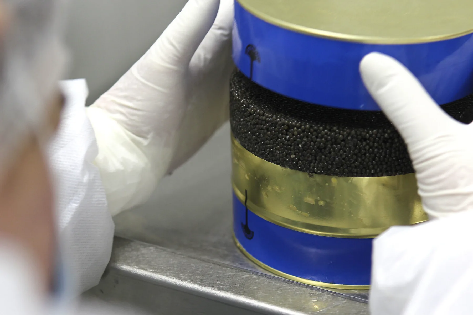 Mains gantées tenant une boîte de Caviar Perlita au laboratoire de L'Esturgeonnière