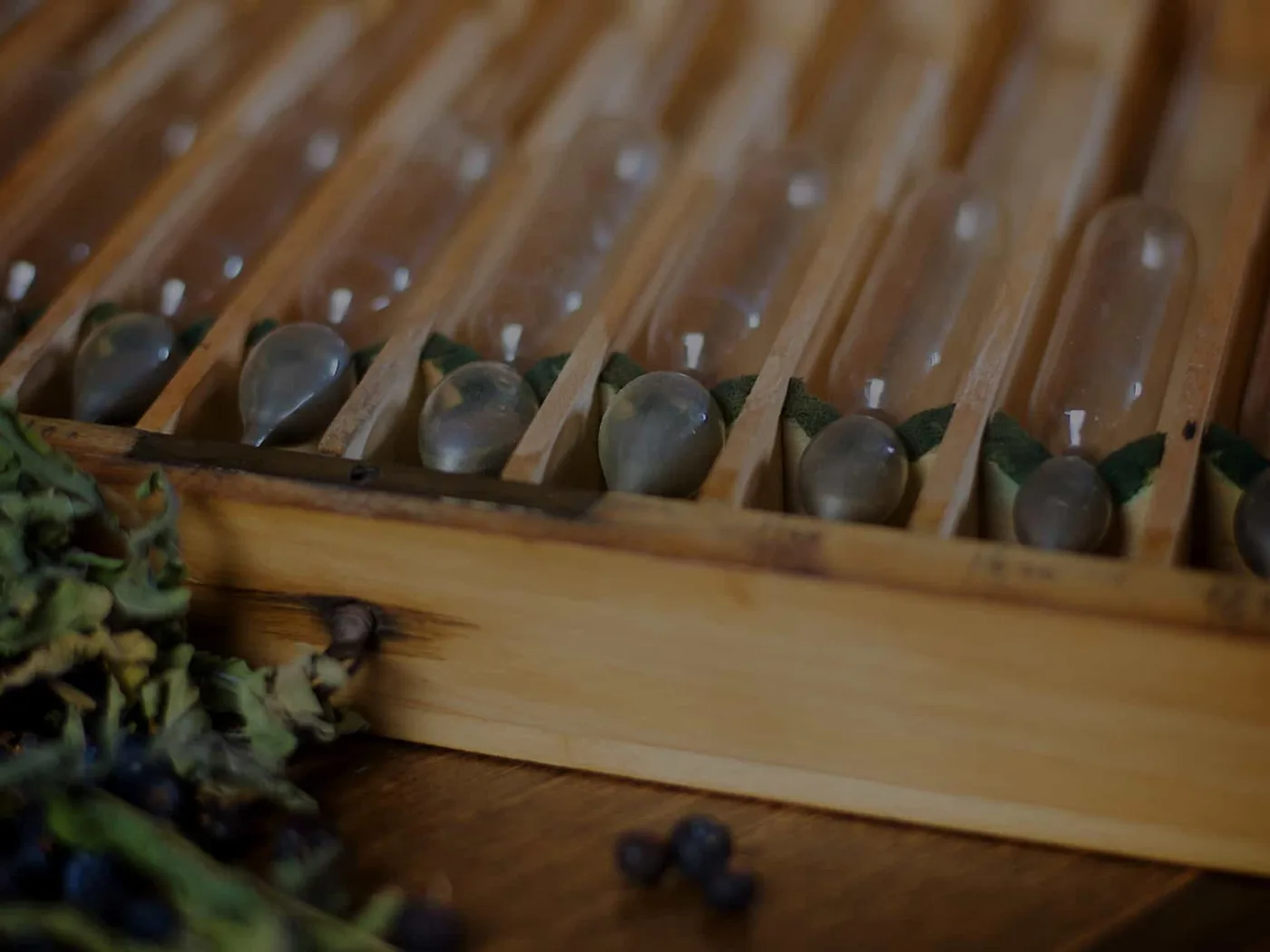 Alcoomètre et aromates dans l'atelier de la Distillerie Ergaster