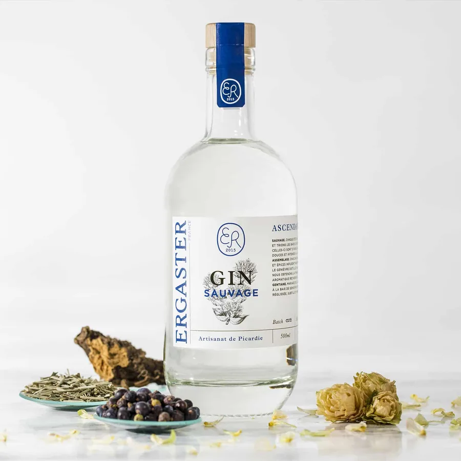 Bouteille de Gin Ascendance de la Distillerie Ergaster