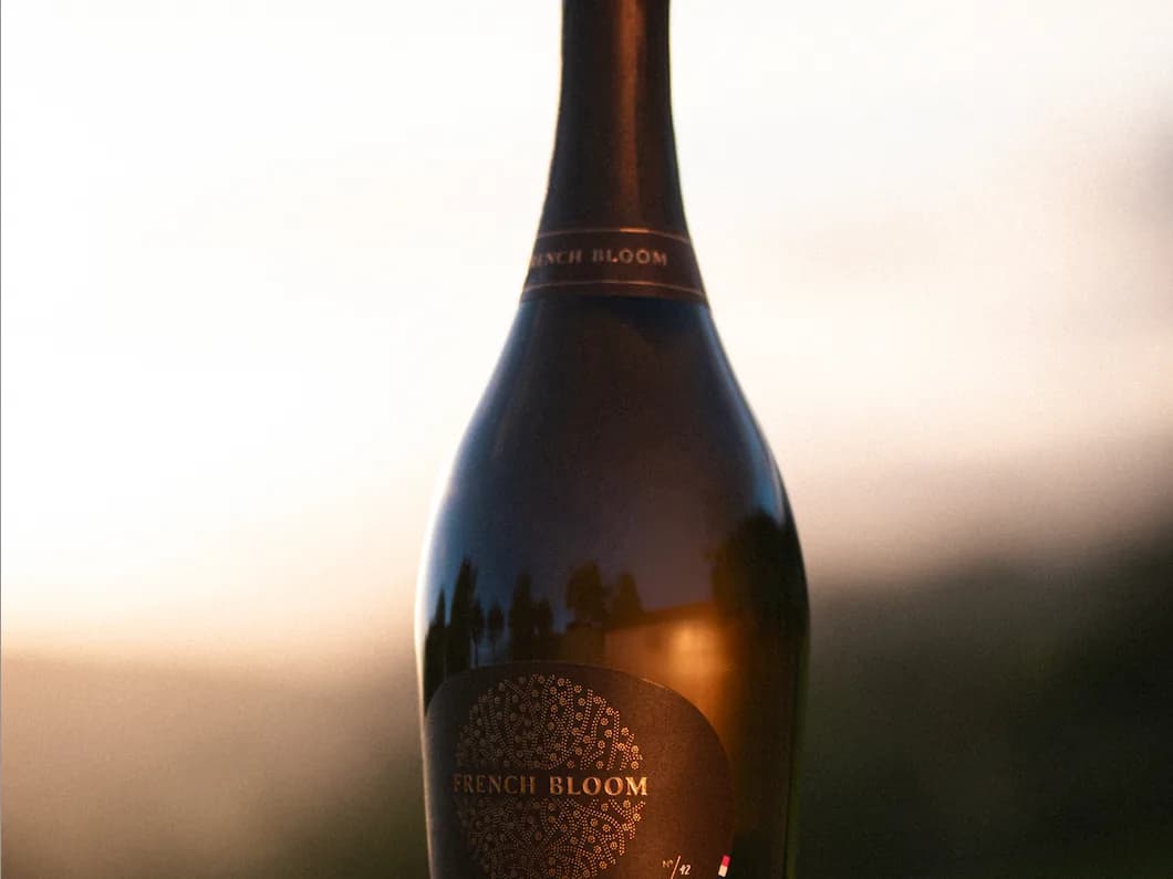 Bouteille de La Cuvée Vintage 2023 tenue dans les vignes