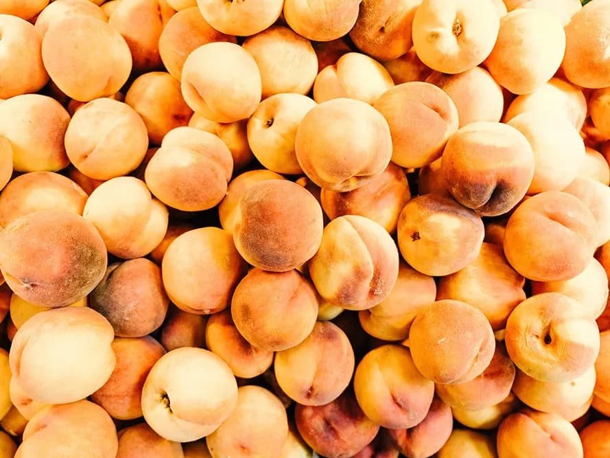 Abricots mûrs sélectionnés par la Maison Patrick Font