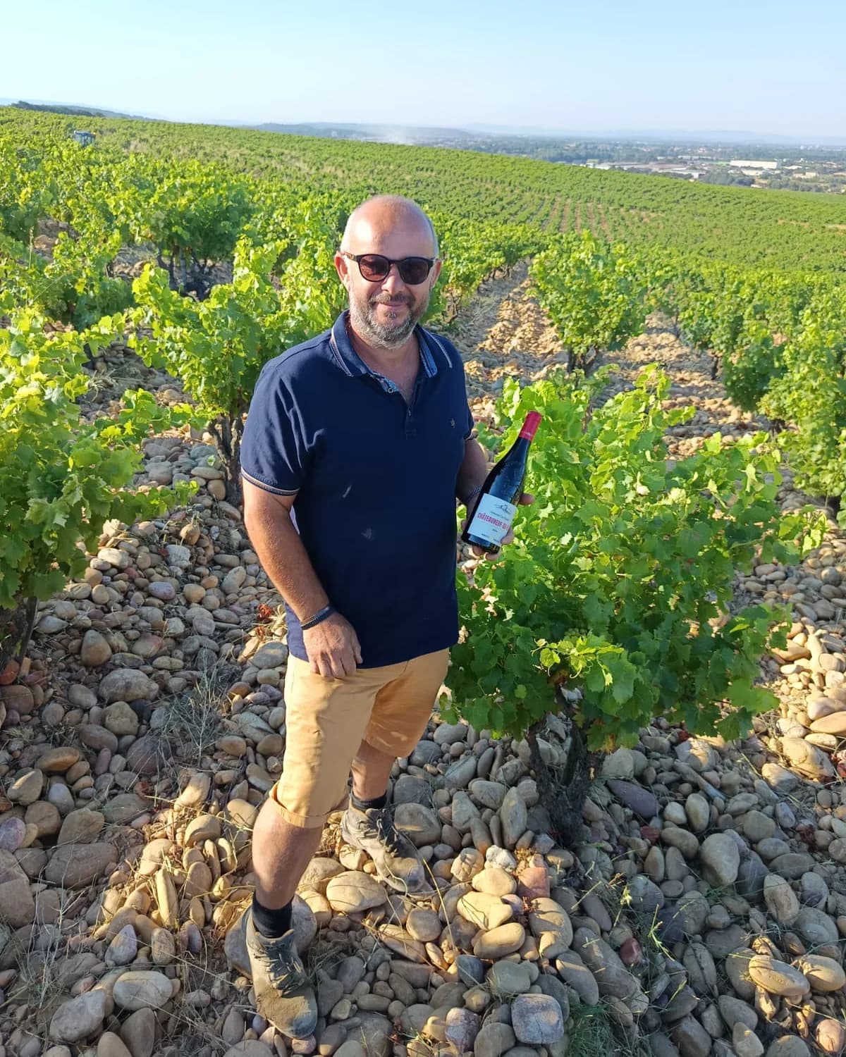 Vigneron de Rocca Maura dans une vigne plantée sur galets roulés, une bouteille à la main